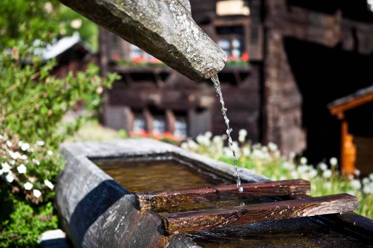 Bergquell Haus D Leilighet Blatten bei Naters Eksteriør bilde